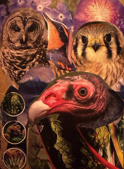 Collage of birds in flight against a soft sky